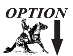 Buyer Option — buyer takes the next lot at the same price